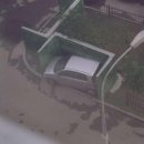 자동차생활 이미지