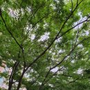 후동공원 이미지