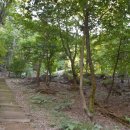 이사주당 유한규묘 이미지