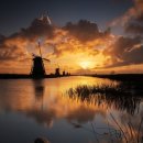 내마음의 풍차 이미지