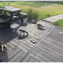 홀리데이 인 경주 이미지