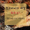 뭐무꼬 - 울릉군 | 뭐무꼬