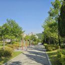 하늘을 걷는 고양이 카페 | 연휴 마지막 안양 산책 | 동편마을 카페거리 근처 조용한 해오름공원