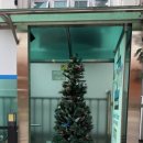 사파동245 이미지