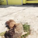 카페철마로416 | 제주도 비양도 & 월령리 선인장 마을, 서부 코스로 괜찮아요!