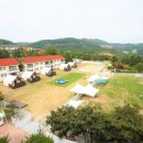 골드펫리조트 이미지