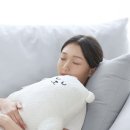 필로우컴퍼니