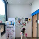 아이와 가볼 만한 전주 앵무새 카페[버드리 전주점]