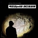 음악과 함께 듣는 미술산책 | 미술사의 흐름을 바꾼 한 명의 컬렉터, 이선희의 미술산책