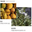 더리햅 | [러쉬] 리햅 샴푸 내돈내산 후기