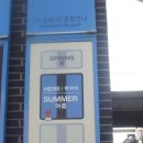 모락스칼프 이미지