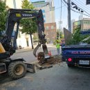 도곡세차장 | 상가진입로나무제거비용 상가나무자르기