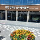 강화 노인대학 50기 춘천 삼악산 여행 이미지