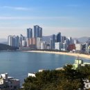 (주)골드오션 이미지