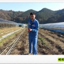 푸르매농장 이미지