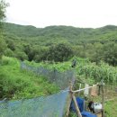 성남농장 이미지