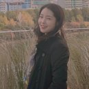 변호사강전애법률사무소
