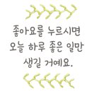 진해일등약국 이미지