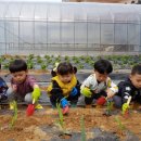 짝꿍숲어린이집 이미지