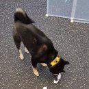 워니시티 이미지