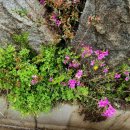 김천화장장 이미지