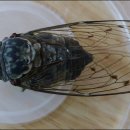 서문유치원 이미지