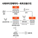 도계유통 중앙일보