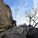 도봉-도봉-서울도봉-2323 이미지