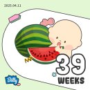 (주)지이스토리 | 39주 일상🤰🏻-증상/컨디션/끝나지 않는 자유시간/기어이 맞이한 40주