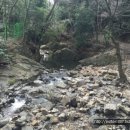 내야지천 티스토리