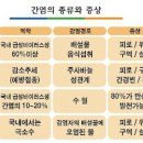 A형간염 원인 초기 증세 전염 격리 / 백신 예방접종 가격 간격 항체 주의할점 이미지