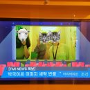 홍대 세탁 이미지