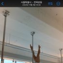 세즈폴댄스 이미지