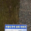 가창초등학교 이미지