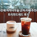 인제 | [내돈내산] 인제 카페 트리헌드레드 후기, 인제 자작나무숲 근처 카페 추천