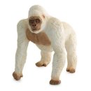 고릴라 소프트 이미지