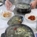 팜치과의원 | 아기랑 연말 일상!/외갓집,치과 진료(영유아 구강검진),83타워 공룡 탐험전