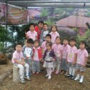 꿈꽃어린이집 이미지