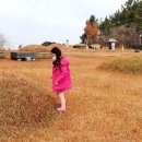 진봉농장 이미지