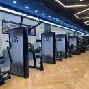 브라운 휘트니스 이미지