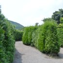 웰빙건강랜드 이미지