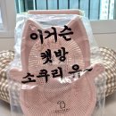 캣방