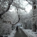 학운초등학교 이미지