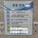 평생학습관 수영장 | 마포평생학습관 수영장 수영 가격과 주차 할인 (구내식당 x)