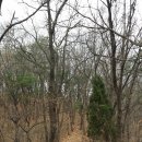 위례둘레길 이미지