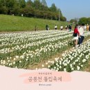 국민건강보험공단 파주지사 | 파주 나들이 공릉천 튤립밭 무료 개방, 주차장 꿀팁 총정리