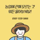 미래로1L 이미지