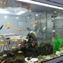 꽃가람노인전문요양원 이미지