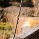 길목가든 이미지