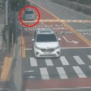 780241 이미지